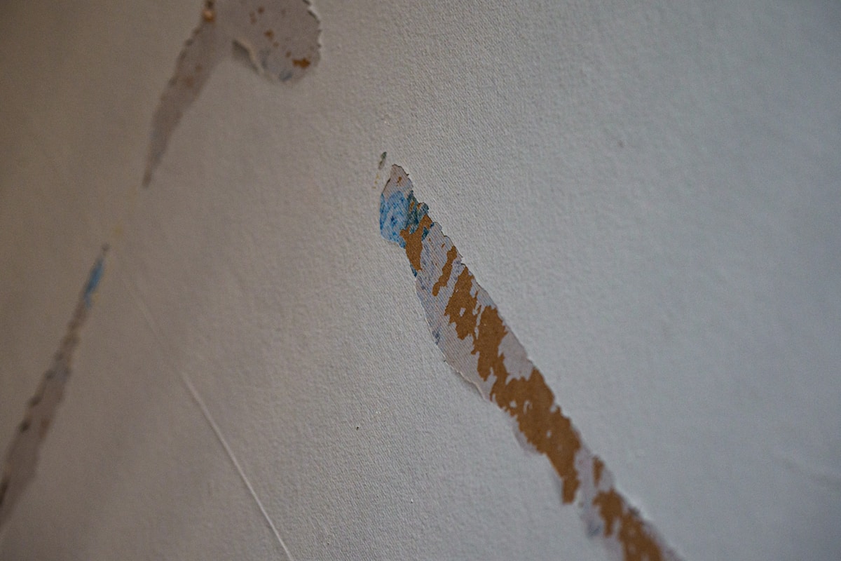 Water Extraction service in Richmond, VA